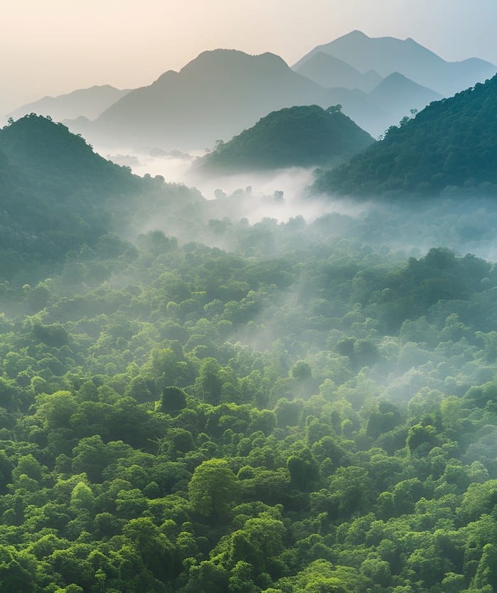 Environment protection