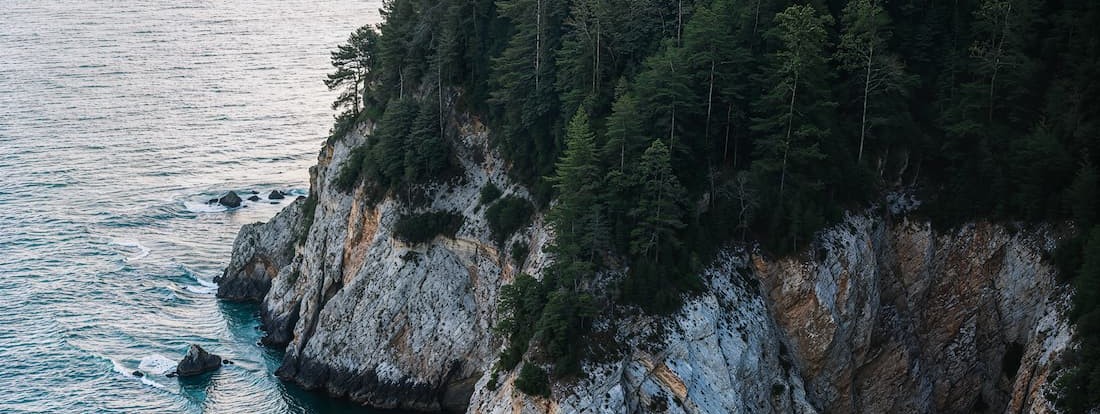 Biodiversity of territories